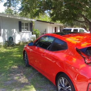 veloster2020tinted5.jpg